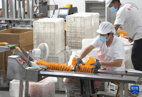 山东新泰 食品生产企业月饼制作生产忙 开展职业介绍